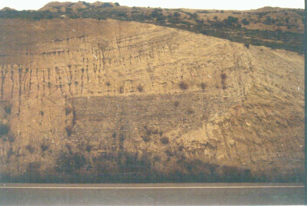 Terraza T4 del río Segre, deformada por la acción diapírica de los yesos infrayacentes del anticlinal de Bellmunt. Paraje de Torre de la Playa.