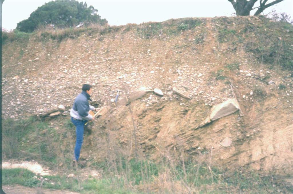 Base de la terraza de los 15 m. del río Segre erosionada sobre el Terciario detrítico del flanco S. del anticlinal de Bellmunt. Proximidades de Balaguer.