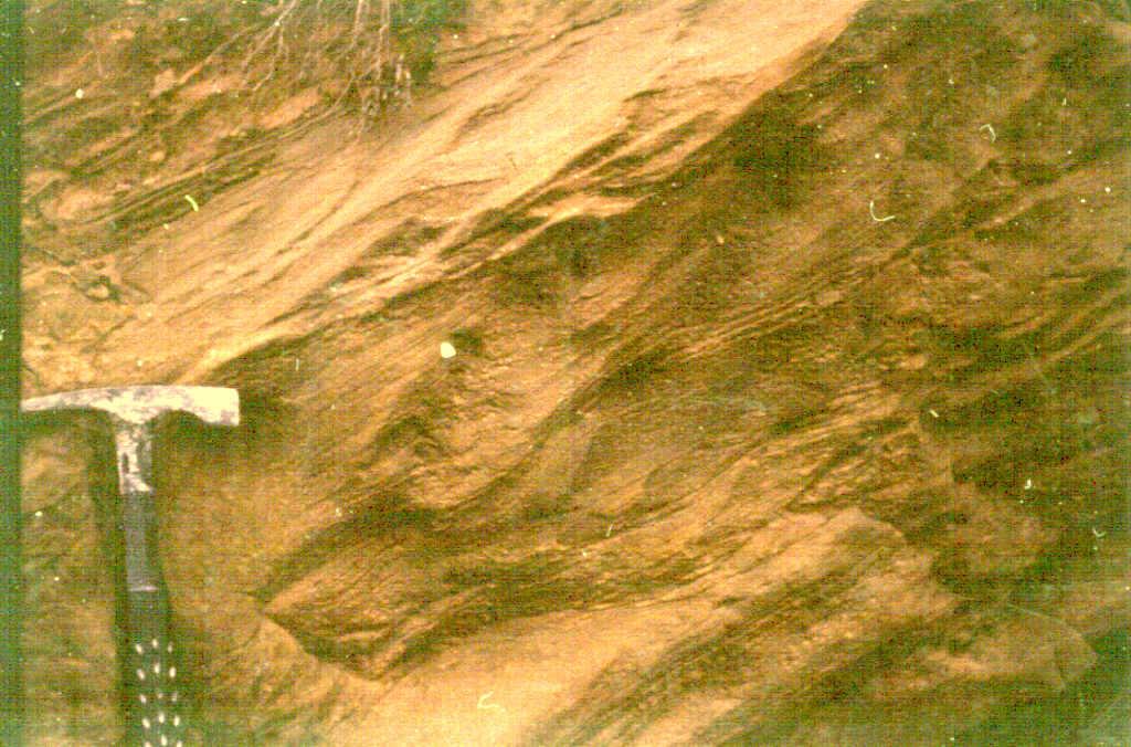 Detalle de ripples ascendentes en barras deltaicas del Complejo lacustre de Sanaüja.