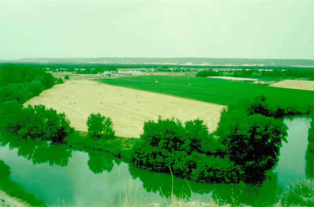 Panorámica del meandro del río Duero. El campo de trigo se sitúa sobre los depósitos de "point bar".