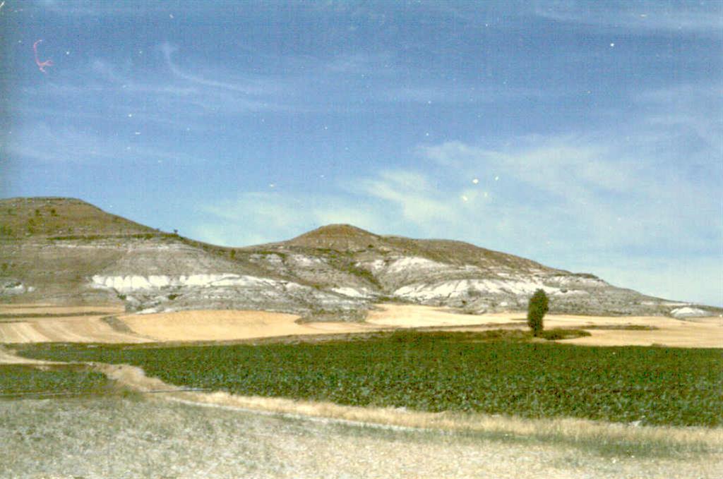 Sección del Castrillo del Duero.