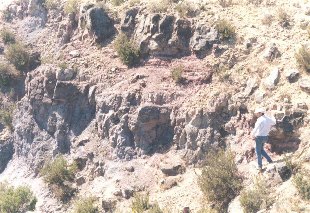 Cuerpos estratiformes de basaltos espilitizados en las proximidades de la localidad de Arándiga. Se encuentra situados estratigráficamente por debajo de la Formación Dolomías tableadas de Imón.