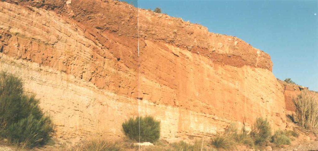 Afloramiento de facies canalizadas del Mioceno superior en las proximidades del Caserío El Sotillo (margen izquiera del Barranco de Rané). Detalle de las estratificaciones cruzadas.