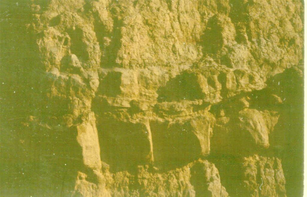 Estructuras sedimentarias de tipo hummocky en la serie Miocena de La Almolda.