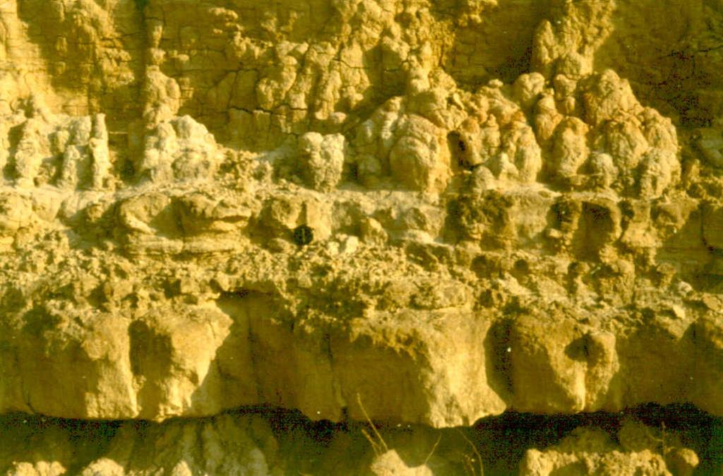 Estructuras sedimentarias de tipo hummocky en la serie Miocena de La Almolda.