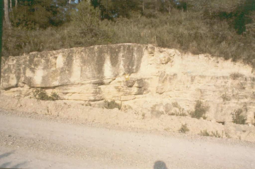 Barra deltaico - lacustre de la Unidad de La Floresta.