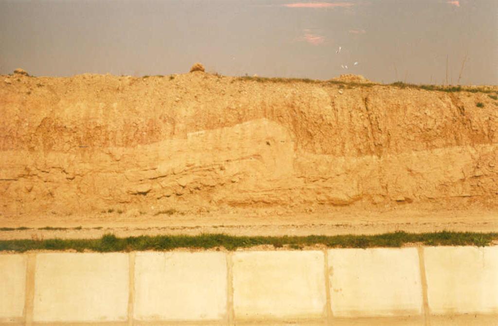 Ejemplo de una de las escasas estructuras tectónicas relacionadas con eventos compresivos acaecidos en la Cuenca del Ebro durante el Oligoceno - Mioceno basal.