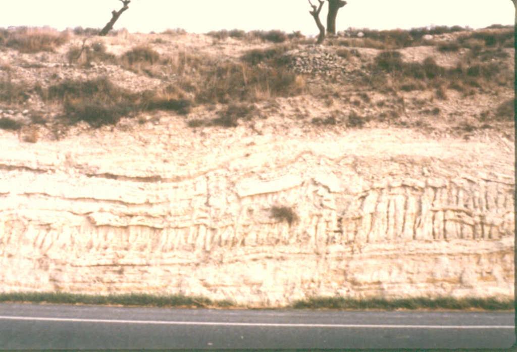 Pliegues enterolíticos y pequeñas fallas afectando a los yesos de Talavera. Sant Pere de Les Arquers.