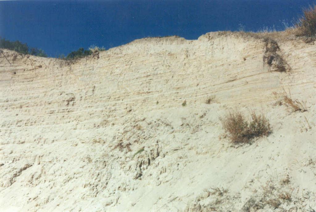 Vista puntual de las estructuras sedimentarias de una duna.