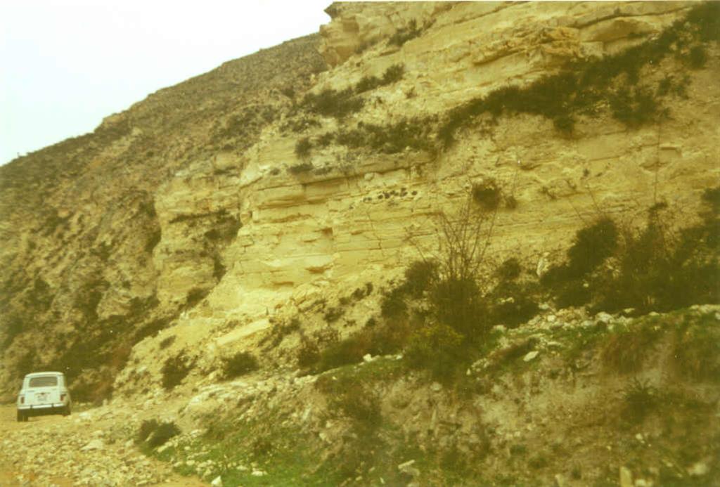 Margas dolomíticas laminadas del Cretácico terminal - Paleoceno al Norte de la localidad de Valle de Tabladillo.