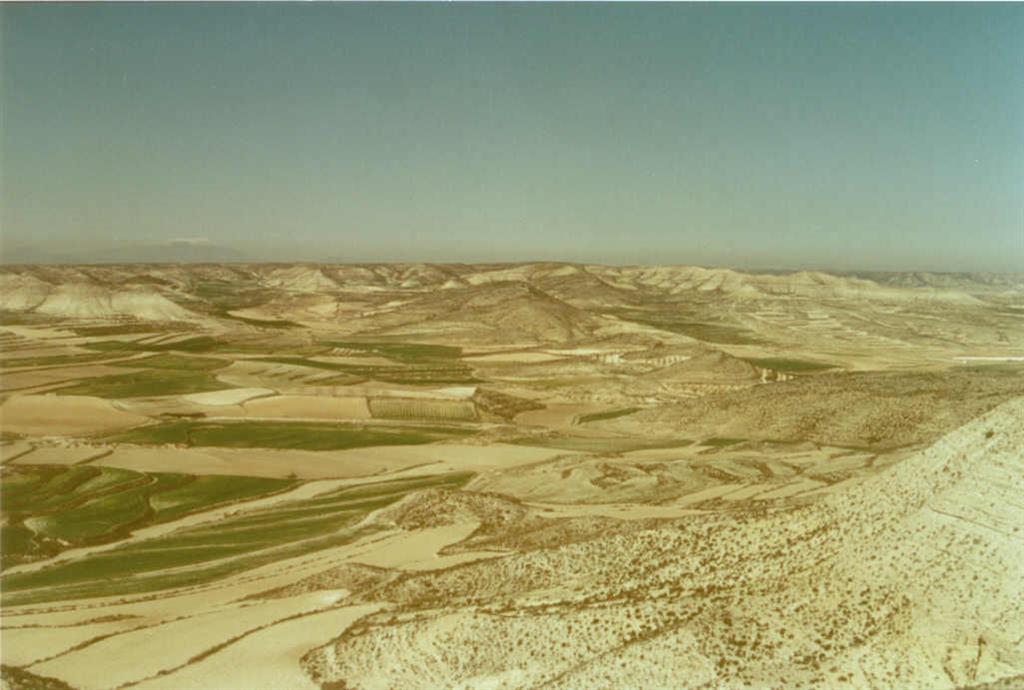 Los depósitos miocenos de la Unidad Montes de Castejón reposan en discordancia sobre unas calizas jurásicas alineadas NO - SE al Oeste de Jaulín.