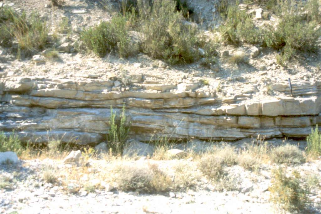 Detalle de estratificación hummocky y swalley en las calizas arenosas de la unidad Torrente de Cinca - Alcolea de Cinca (Pista Barranco de Tapiolas hacia Pla de Fora).