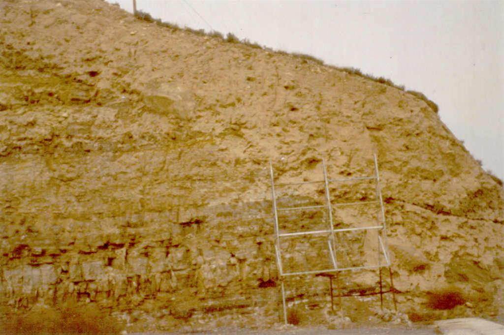 Depósito de coluvión con dos etapas genéticas diferenciada. La más antigua con contacto neto verticalizado con los materiales terciarios y por encima otro depósito coluvionar que fosiliza al anterior.