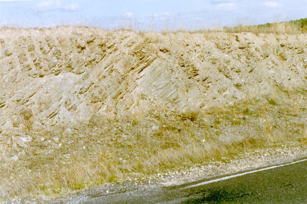 Afloramiento del Complejo Esquisto - Grauwáquico en la carretera local de Navalmanzano a Pinarnegrillo. Obsérvese la esquistosidad y estratificación en el afloramiento.