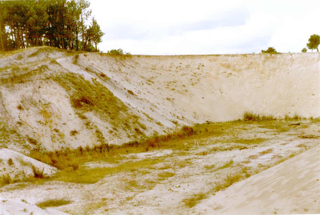 Aspecto de las arenas eólicas de Mudrian. En la actualidad se encuentran en explotación.