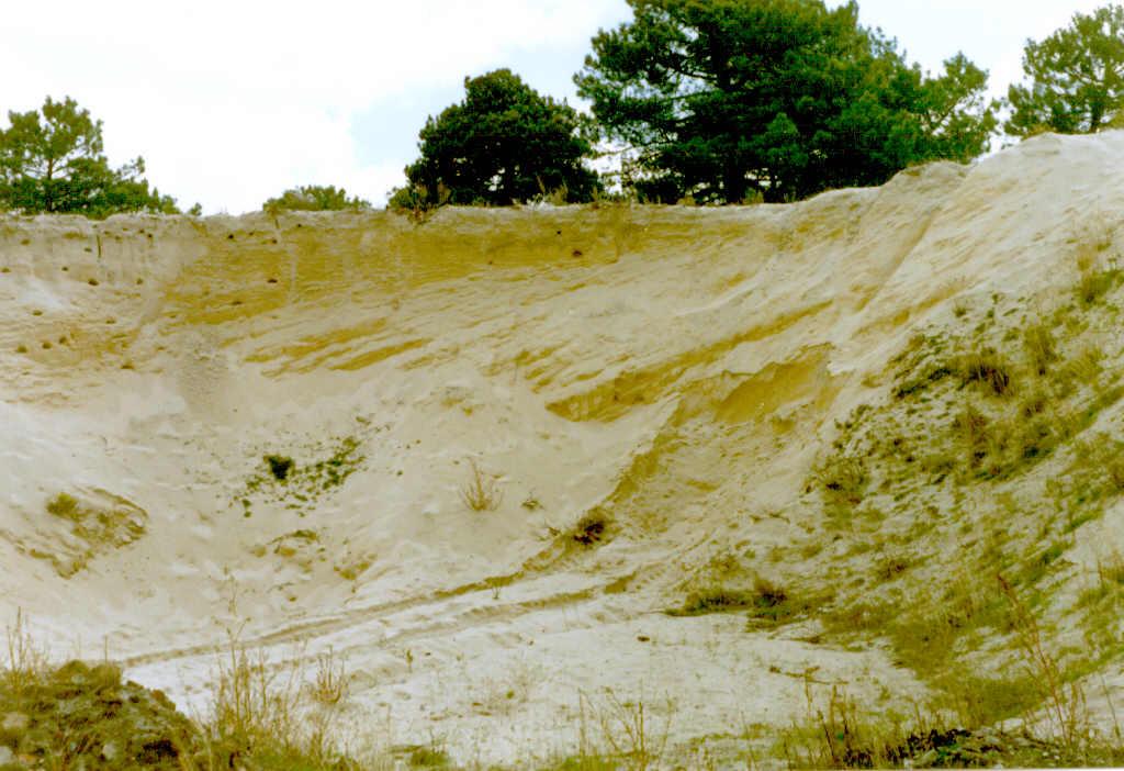 Aspecto de las arenas eólicas de Mudrian. En la actualidad se encuentran en explotación.