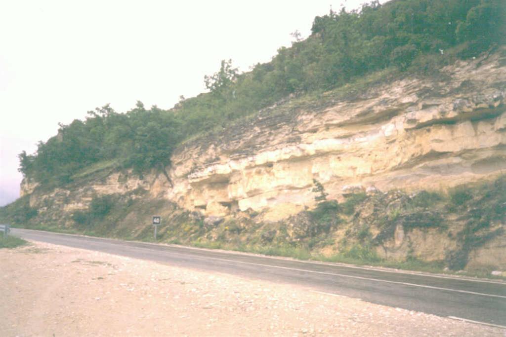 Aspecto de los materiales carbonatados del Cretácico superior aflorantes en el flanco meridional del pliegue.