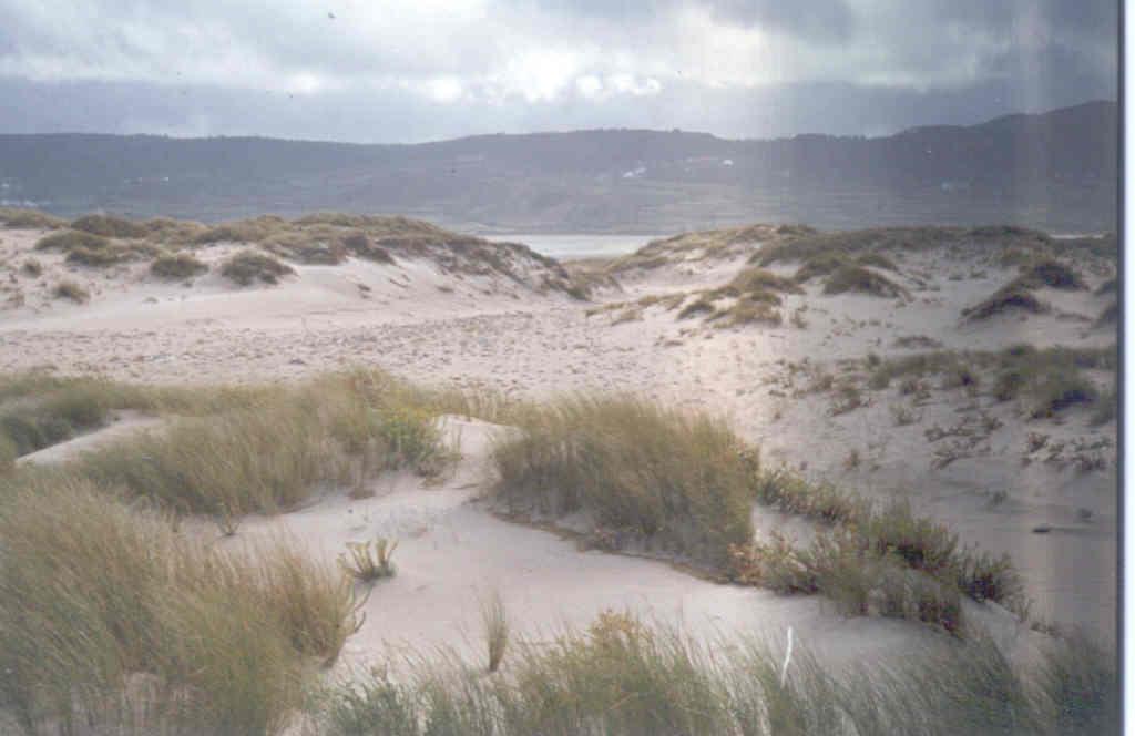 Corredores en las dunas de Baldayo por donde penetra el mar en los grandes temporales.