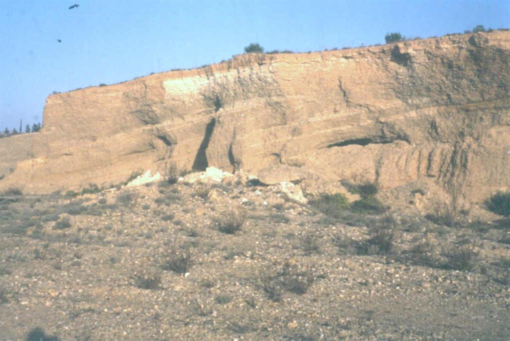 Depósitos de terraza del río Ebro, al Sur de Chipriana en los que se reconoce una flexión de origen tectónico.