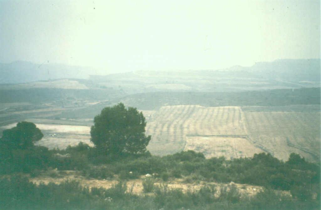 Meandro abandonado del río Matarraña. El río Matarraña se configura como un afluente de la margen derecha del río Ebro.