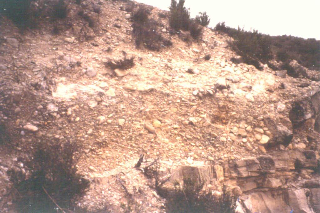 Depósito de terraza constituido por gravas de naturaleza caliza. Sufre importantes procesos de erosión encontrándose a menudo el depósito desmantelado (gravas sueltas acumuladas al pie de las ladera).