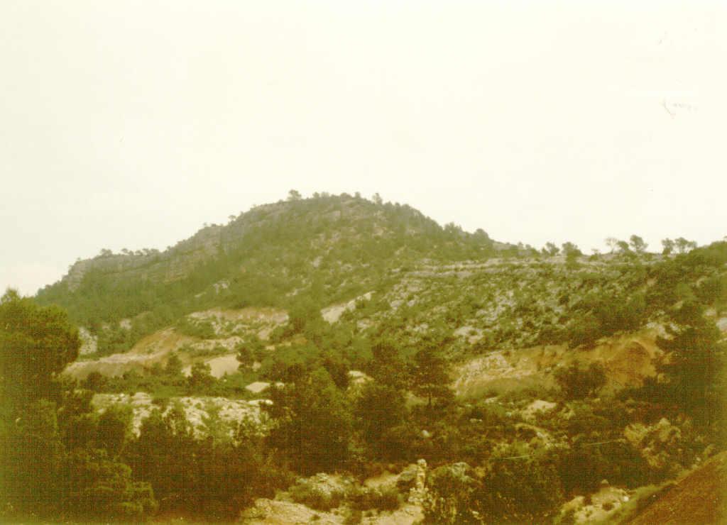 En la Cuenca de Mora, la serie terciaria consiste en un paleoceno lutítico - carbonático, un eoceno lutítico, arenoso y un oligoceno conglomerático. La serie presenta un buzamiento hacia el SE.