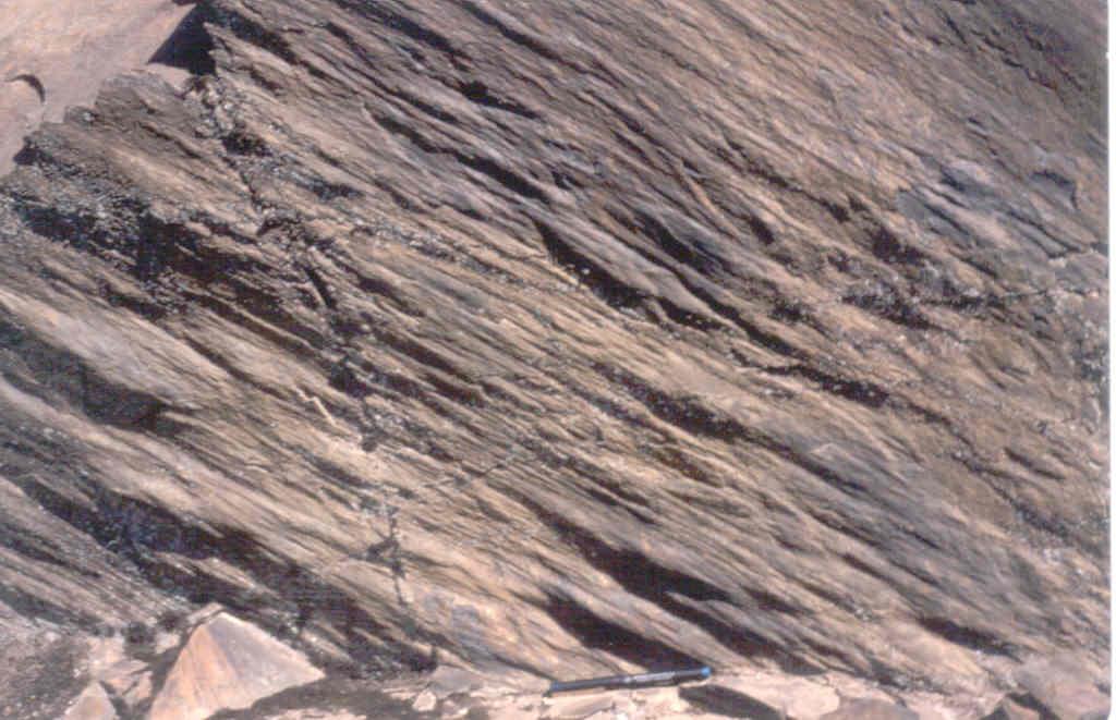 Estructuras sedimentarias de corriente (Flute, groove marks, etc.) en la base de las capas areniscosas de la Formación Agüeira.
