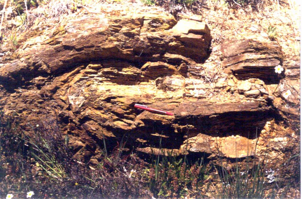 Pliegues en Fase III en niveles areniscosos de la Formación Monterrubio, al E. de Narrillos del Alamo.