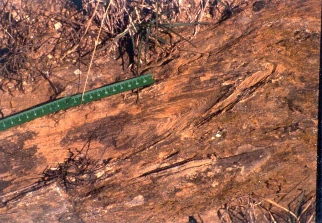 Detalle de pliegues centimétricos en materiales esquistosos de la Formación Monterrubio, al E. de Narrillos del Alamo.