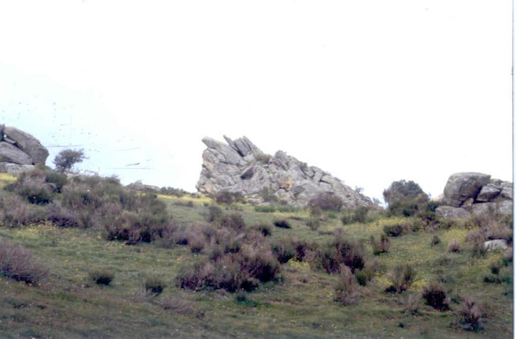 Afloramiento de granitos gneísicos porfídicos de Bercimuelle en la Sierra de Narrillos.