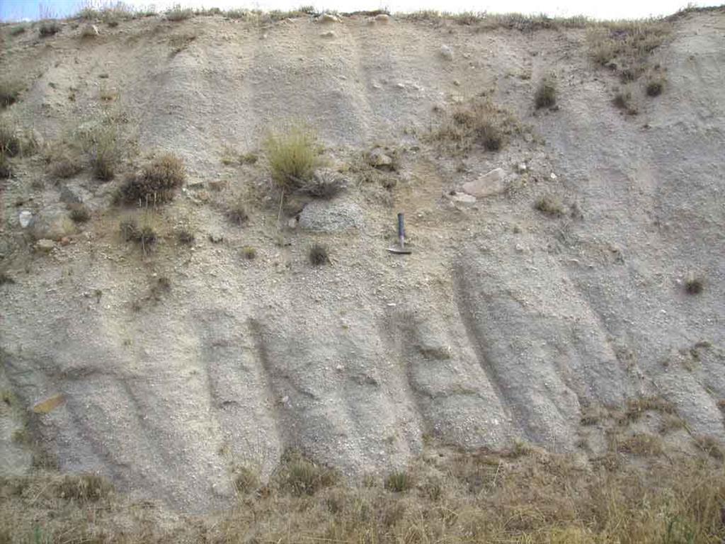 Detalle de las arenas arcósicas y gravas con cantos del relleno del Valle de Ambés