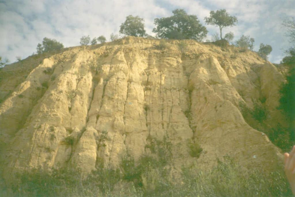 Afloramiento de arcosas miocenas en las inmediaciones del Embalse de El Pardo.