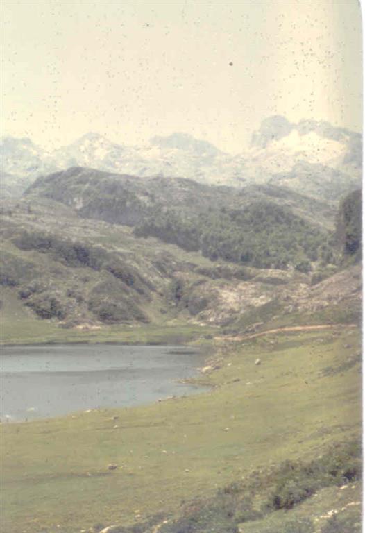 Lago de la Ercina, al fondo turberas actuales y las calizas carboníferas de Picos de Europa.