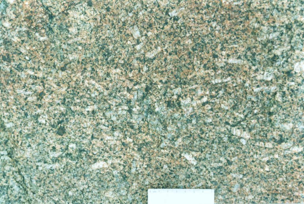 Granitoide grano medio, biotítico, porfídico con cordierita. Este afloramiento está muy cerca del contacto con la granodiorita de La Lastra del Cano.