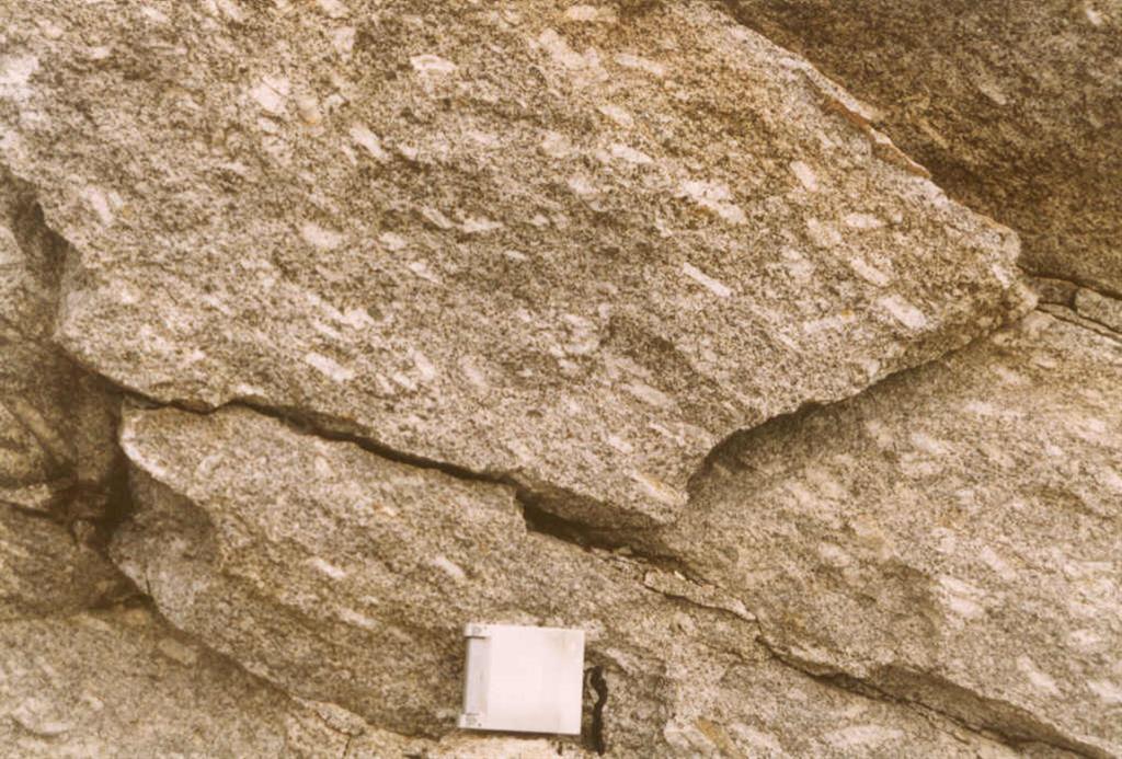 Granodiorita de Aldeanueva de Santa Cruz.