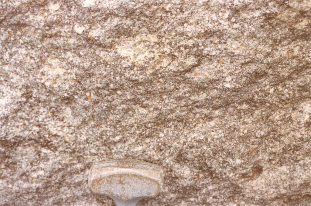 Aspecto del granitoide inhomogéneo con textura "grano de arroz".