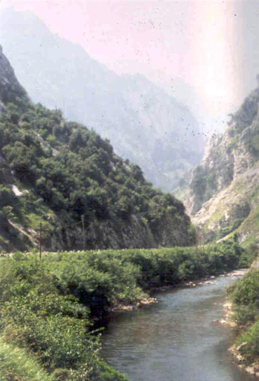Fotografía de 1980, del río Deva en las Hoces de la Hermida. Caliza de Picos de Europa (Carbonífero).