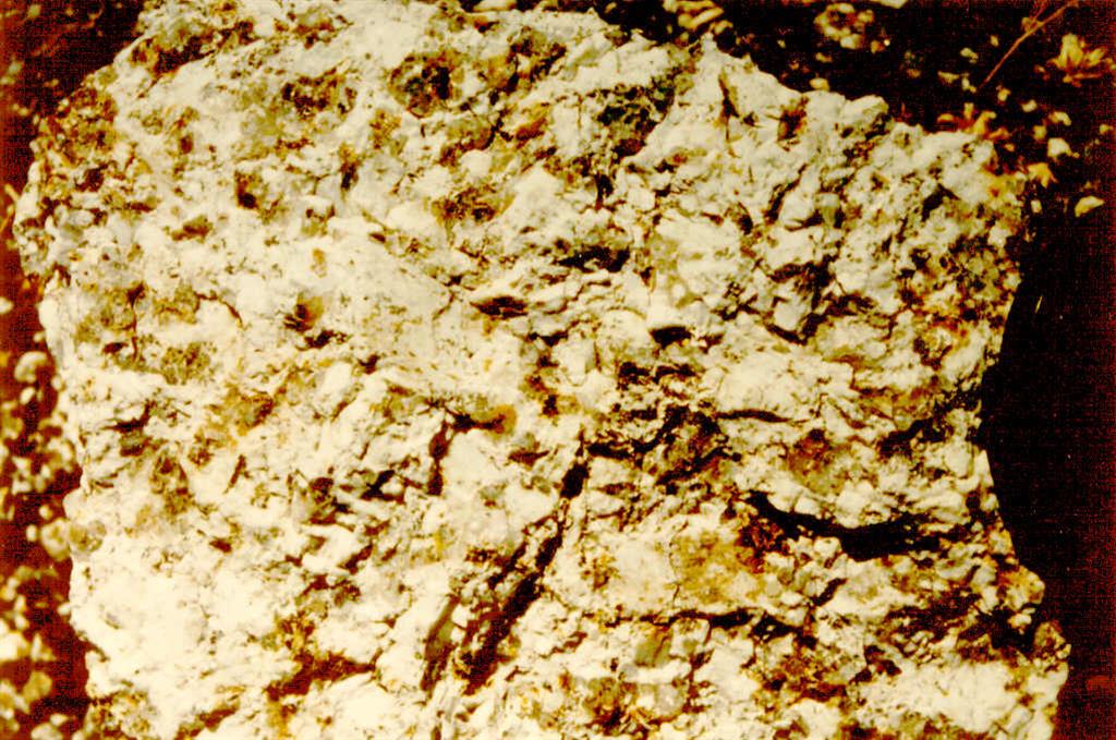 Detalle del granito biotítico - moscovítico de grano grueso, facies que produce el berrocal.