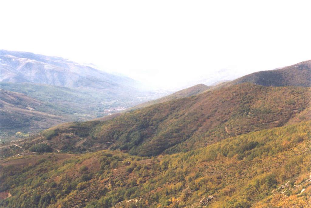Vista hacia el SO. del Valle del Jerte, desde el Puerto de Tornavacas. El fondo del valle coincide con la banda de fractura Plansecia - Alentejo, jalonada por diques de diabasas.