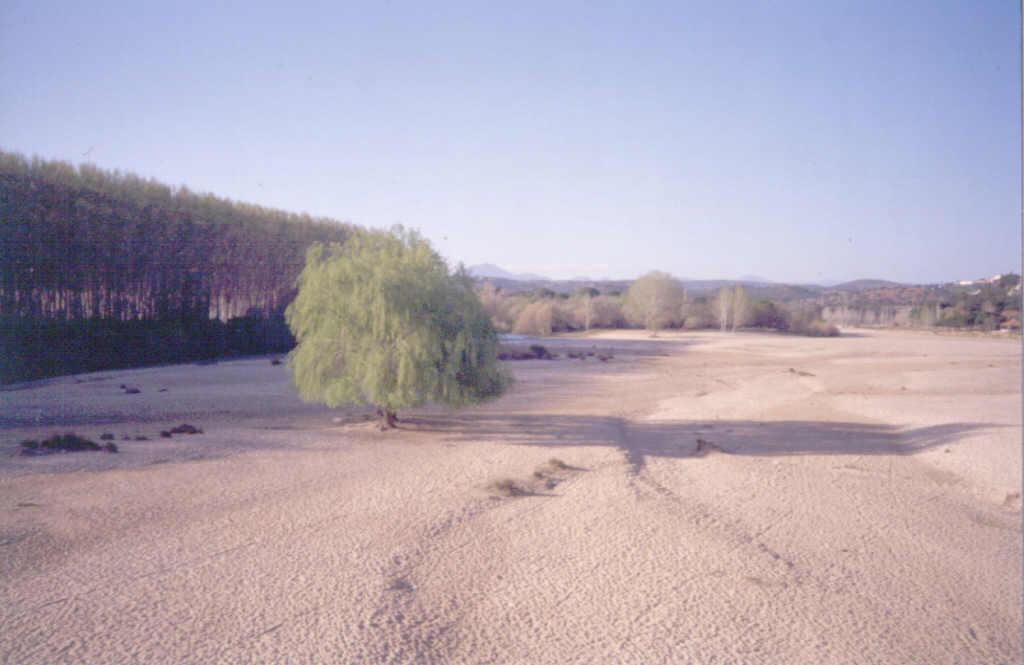 Aspecto de la llanura aluvial junto a Aldea del Fresno, con un pequeño cauce secundario y el cauce principal, al fondo.