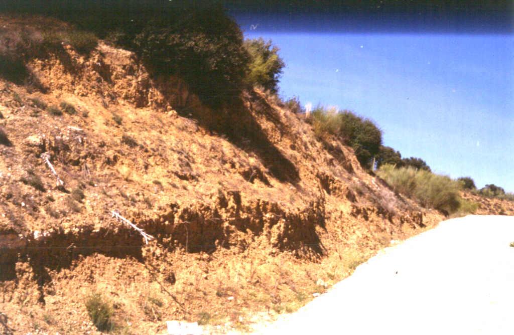 Términos lutíticos del ciclo inferior junto al río Guadarrama.