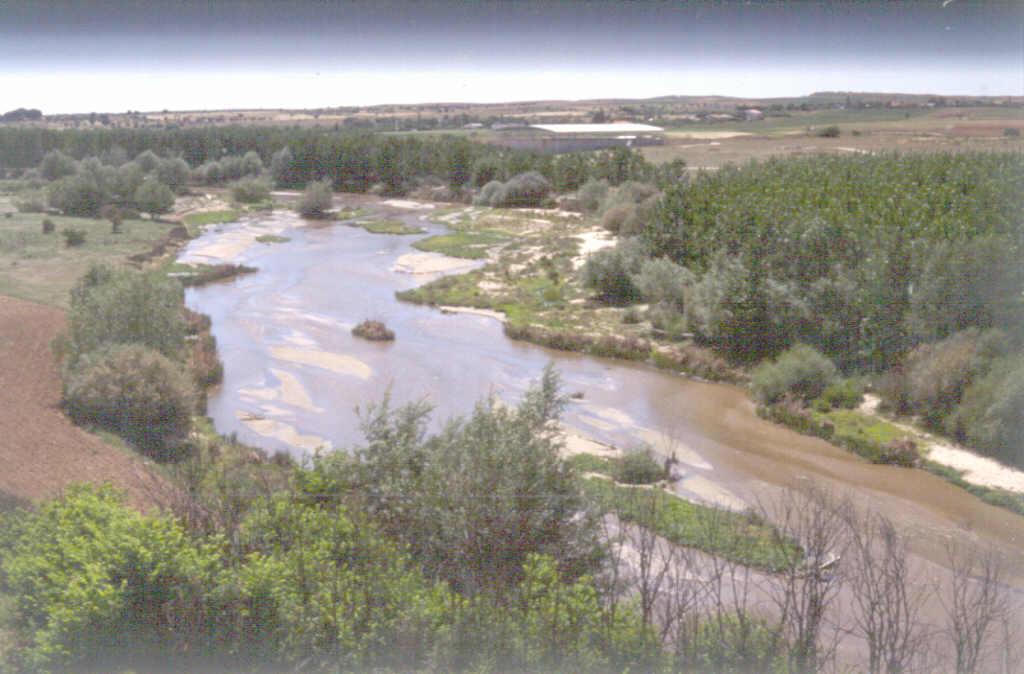 El río Guadarrama a su paso por el límite meridional de la Hoja.