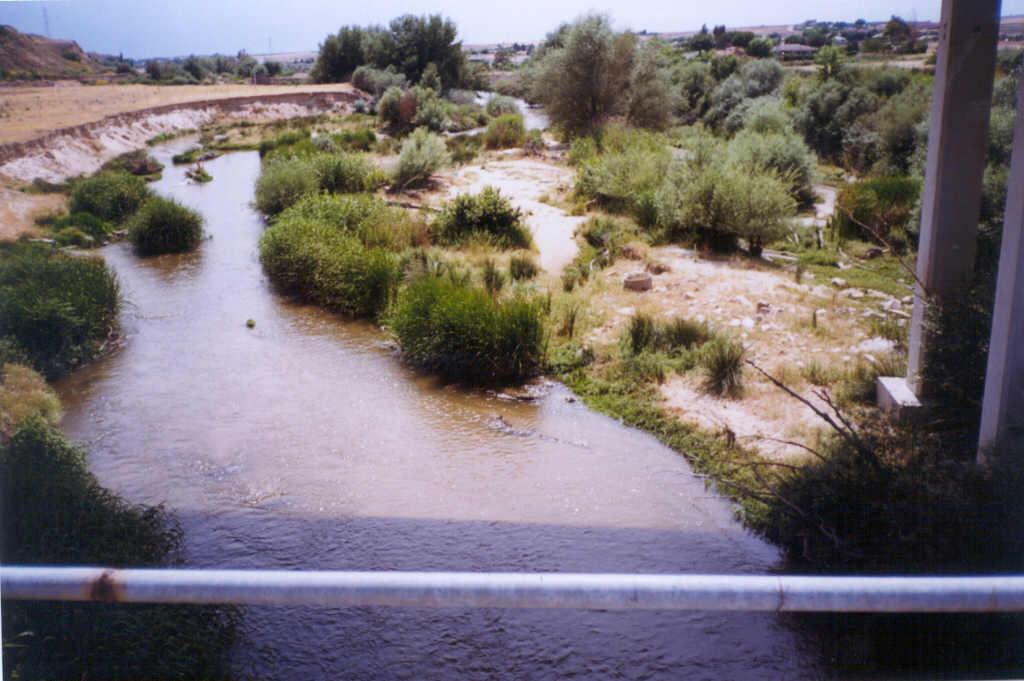Fondo de valle y llanura de inundación del Guadarrama bajo la carretera Cedillo del Condado - Casarrubios del Monte.