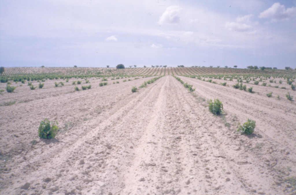 Típico aspecto escalonado de la margen derecha, debido a la sucesión de terrazas.