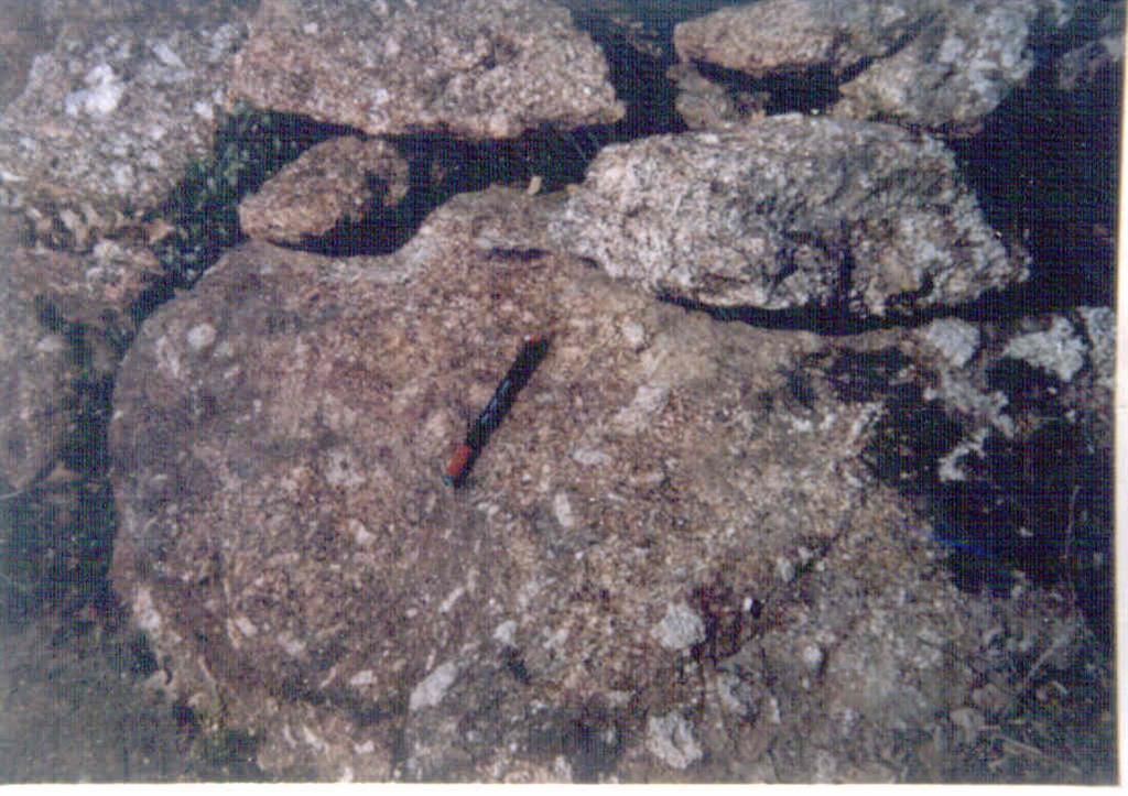 Granitoides inhomogeneos (predominantemente granodioritas) biotitas con moscovita y sillimanita. Obsérvese la anisotropía estructural marcada por la distribución irregular de megacristales de K.