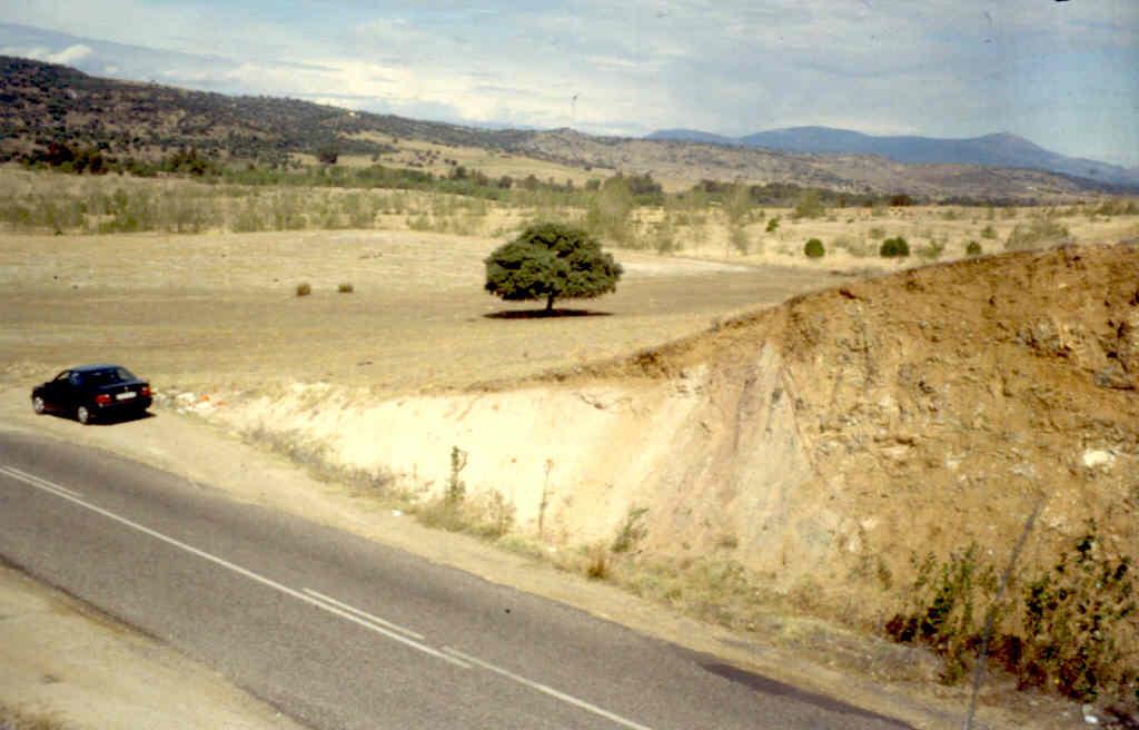 Vista de la depresión del Arroyo Barrago ocupado por materiales terciarios (arenas con matriz arcillosa); en primer término el granito de Santa Apolonia fracturado buzando al Sur.