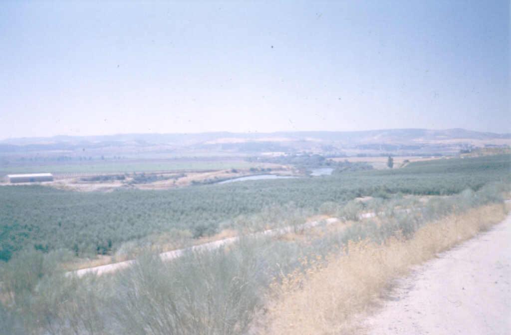 Aspecto del valle al sur de "El Carpio de Tajo".