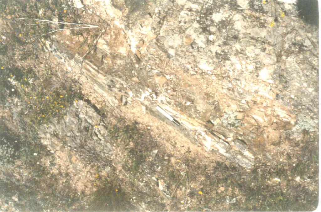 Detalle de la foto anterior en la que se aprecia la foliación milonítica buzante al Sur, paralela al plano de Falla. La lineación de estiramiento mineral es de 25º en el sentido N190ºE.