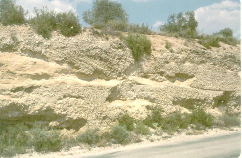 Afloramiento de la terraza alta del Río Júcar. "Sets" tabulares de gravas y arenas incididos por canales menores.