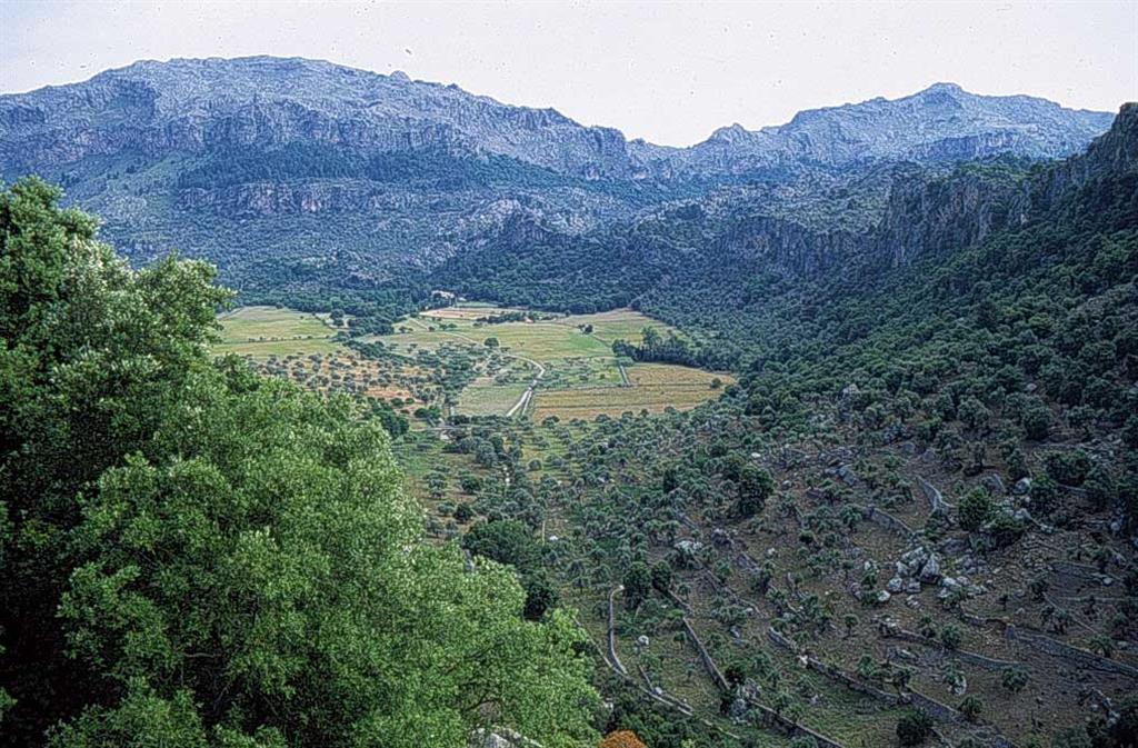 Vista del Clot de Aubarca, depresión cárstica situada junto al Monasterio del Lluc.